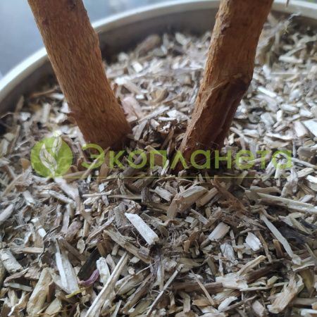 Льняная костра Экотеплин 